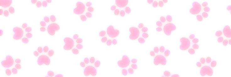 Banner de Star☆Kitty