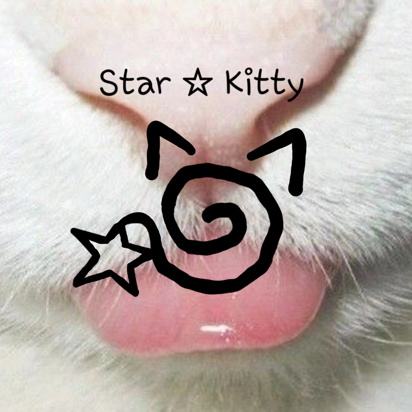 Logo de Star☆Kitty